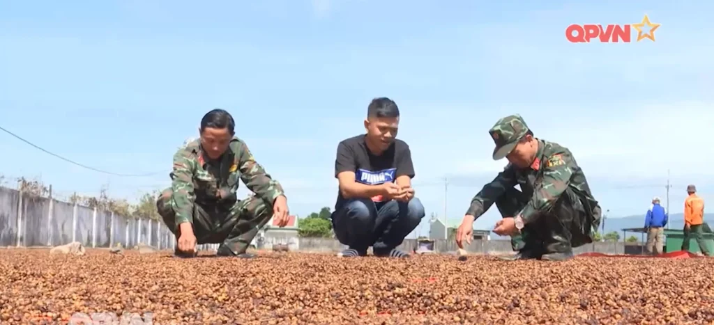 NIỀM VUI VỤ MÙA