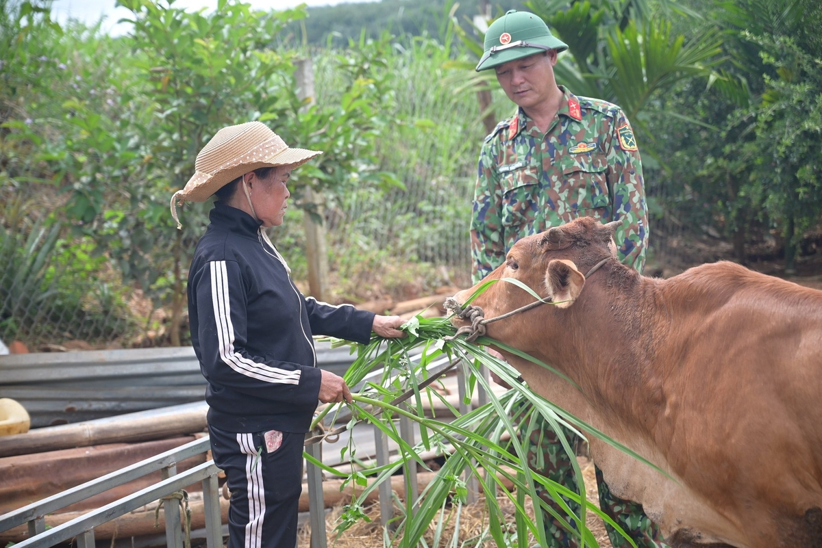 Thượng tá Hoàng Văn Hiển, Chính trị viên Đoàn Kinh tế - Quốc phòng Quảng Sơn cùng chia sẻ và động viên người dân trong quá trình phát triển kinh tế để từng bước thoát nghèo. Ảnh: Phạm Hoài.