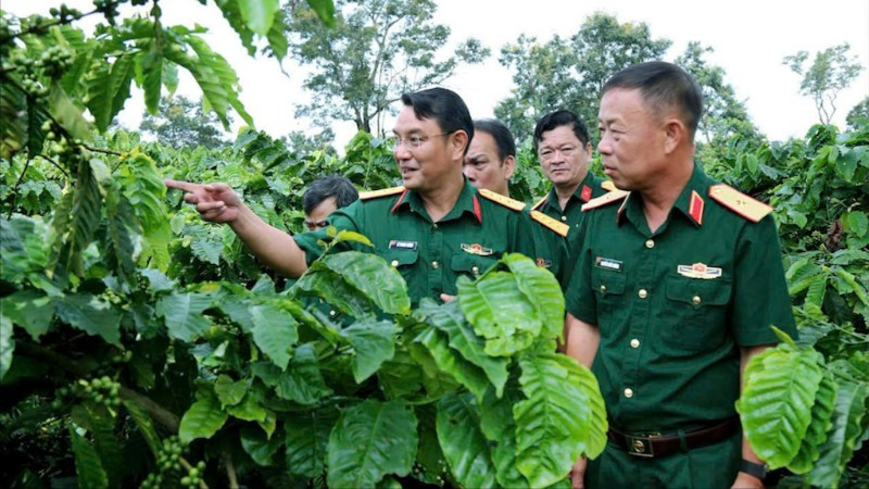 TỪ VÙNG ĐẤT ĐỎ BAZAN ĐẾN CÀ-PHÊ NGƯỜI LÍNH