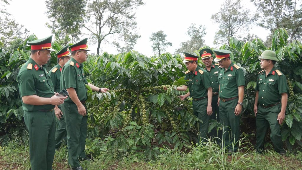 CÔNG TY CÀ PHÊ 15 NỖ LỰC KIẾN TẠO NÔNG NGHIỆP XANH