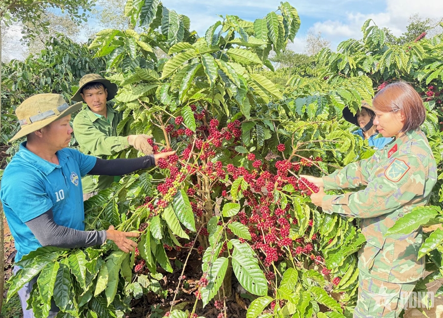 Ở ĐƠN VỊ “SẢN XUẤT GIỎI, DÂN VẬN TỐT”