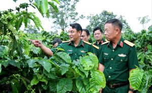 CỦNG CỐ “THẾ TRẬN LÒNG DÂN” Ở CƠ SỞ- MÔ HÌNH CẦN NHÂN RỘNG TỪ CÔNG TY CÀ PHÊ 15