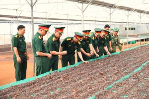 XÂY DỰNG CÔNG TY TNHH MTV CÀ PHÊ 15 VỮNG MẠNH, GÓP PHẦN GIỮ VỮNG THẾ TRẬN QUỐC PHÒNG, AN NINH TRÊN ĐỊA BÀN CHIẾN LƯỢC TÂY NGUYÊN
