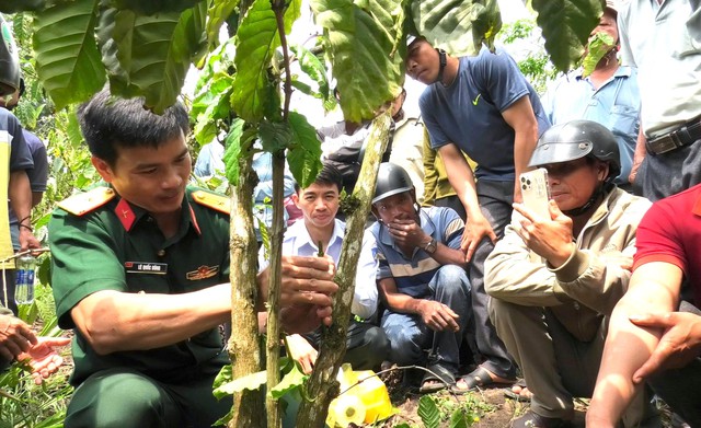 Lớp học trên nương- Ảnh 2.