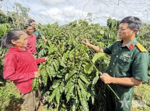 BỘ ĐỘI MANG NO ẤM VỀ QUẢNG SƠN