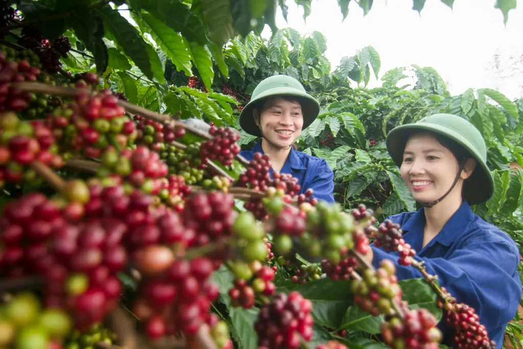 QUÀ TẶNG CUỘC SỐNG 18-8-2026