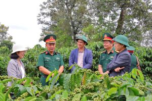 SẢN PHẨM CÀ PHÊ NGƯỜI LÍNH TỰ HÀO ĐẠT CHỨNG NHẬN HỮU CƠ VÀ OCOP 4 SAO TỈNH ĐẮK LẮK