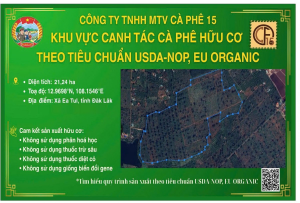ĐẮK LẮK PHÁT TRIỂN VÙNG CÀ PHÊ HỮU CƠ THEO TIÊU CHUẨN MỸ VÀ CHÂU ÂU HƯỚNG ĐẾN XUẤT KHẨU