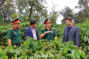 HỒI SINH ĐẤT CẰN, NÂNG TẦM “CÀ PHÊ NGƯỜI LÍNH”